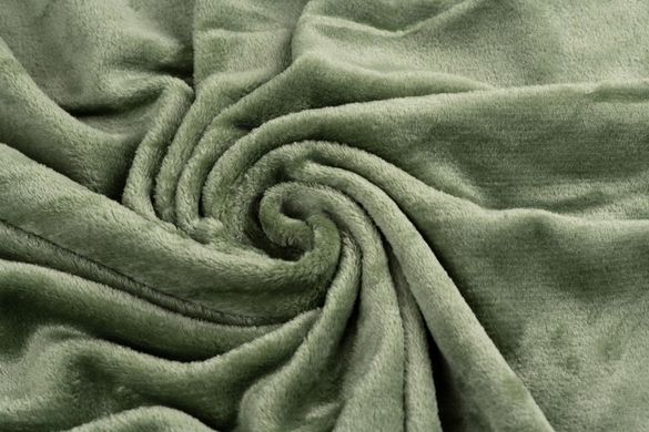 Плед ARDESTO Flannel, 160х200см, зеленый, 100% полиэстер (ART0209SB) ART0209SB фото