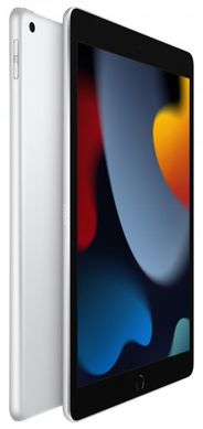 Apple iPad 10.2 Wi-Fi 64Gb (2021) Silver orig 318463099 фото