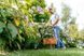 Bosch Триммер садовый EasyGrassCut 26, 280 Вт, 26 см, шпуля 1.6 мм x 4 м, 1.9 кг (0.600.8C1.J01) 0.600.8C1.J01 фото 3