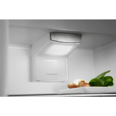 Встраиваемый холодильник Electrolux RNS9TE19S RNS9TE19S фото