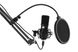 Микрофон с пантографом для ПК Maono by 2Е MPC011 (2E-MPC011) 2E-MPC011 фото 4
