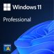 Microsoft Windows 11 Pro 64Bit, английский, DVD DVD (FQC-10528) FQC-10528 фото 1