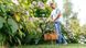 Bosch Триммер садовый EasyGrassCut 23, 280Вт, 23 см, леска, 1.9 кг (0.600.8C1.H01) 0.600.8C1.H01 фото 8