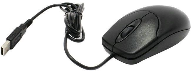 Genius Мышь NS-120 USB Black (31010235100) 31010235100 фото