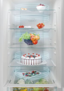 Холодильник Candy CCE4T620EW CCE4T620EW фото