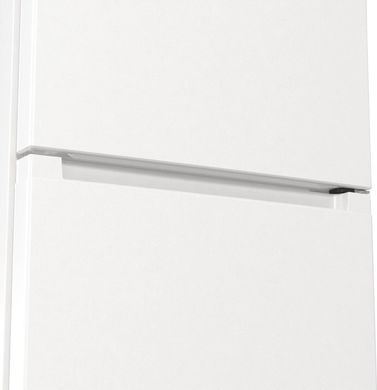 Холодильник Gorenje RK6191EW4 GO123379 фото