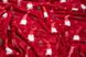 Плед ARDESTO Flannel, 160х200 см, 100% полиэстер, гномы (ART0111PB) ART0111PB фото 5