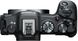 Canon Цифровая фотокамера EOS R8 + RF 24-50mm f/4.5-6.3 IS STM (5803C016) 5803C016 фото 11