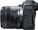 Canon Цифровая фотокамера EOS R8 + RF 24-50mm f/4.5-6.3 IS STM (5803C016) 5803C016 фото 10