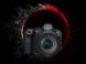 Canon Цифровая фотокамера EOS R6 Mark II body (5666C031) 5666C031 фото 2