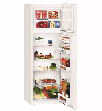 Холодильник LIEBHERR CT2931 CT2931 фото