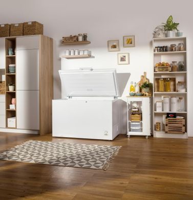 Морозильна камера Gorenje FH451CW FH451CW фото