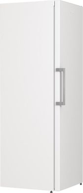 Холодильник Gorenje R619EEW5 R619EEW5 фото