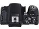 Canon EOS 250D [kit 18-55 DC III Black] (3454C009) 3454C009 фото 8