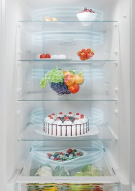 Холодильник Candy CCE4T620ES CCE4T620ES фото