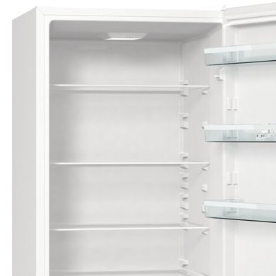 Холодильник Gorenje RK6201EW4 RK6201EW4 фото